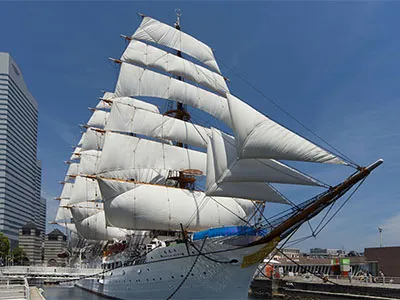 Ленты Dyneema (СВМПЭ)
